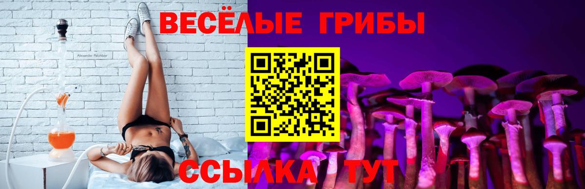 Углич  Галлюциногенные грибы Psilocybine cubensis  Вход с VPN  как найти   Галлюциногенные грибы мухоморы 